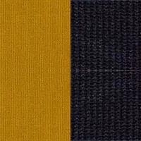 CURRY/SCHWARZ
