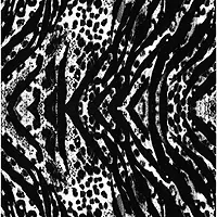 DRUCK-ZEBRA