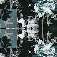 FLOWER-ABSTRACT