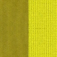KIWI/MENTA