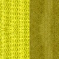MENTA/KIWI