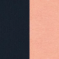 NAVY/LACHS