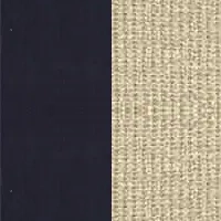 NAVY/WACHS