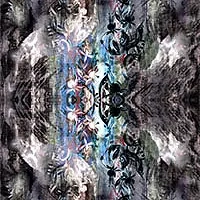 OILWASH-SCHWARZ