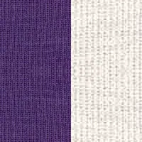 VIOLETT/BRILL