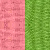 WILDROSE/BISKAYA